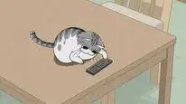 Tập 3 Nights with a Cat