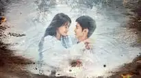 Tập 6 Cây Ô Liu Màu Trắng