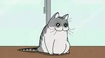 Tập 7 Nights with a Cat