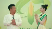 Tập 23 Nhị Long Hồ: Giấc Mộng Thôn Quê (Phần 1)