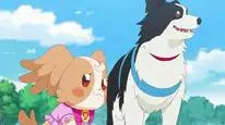 Tập 72 Wonderful Precure!