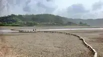 Tập 29 Hoa Trong Ngục