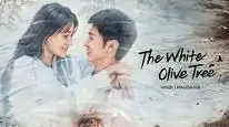 Tập 10 Cây Ô Liu Màu Trắng