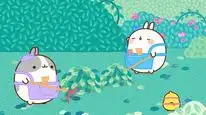 Tập 9 Molang (Phần 4)