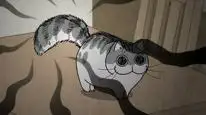 Tập 26 Nights with a Cat