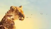 Tập 05 Serengeti