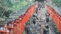 Tập Full Dòng Sông, Đừng Trôi Đi