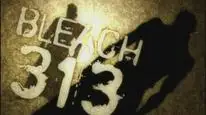 Tập 313 Bleach