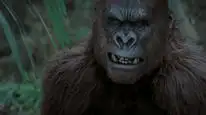 Tập Full Dã Vương