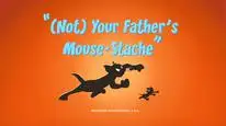 Tập 30 The Tom and Jerry Show (Phần 4)