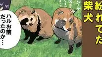 Tập 67 Ngày Tận Thế Với Chú Chó Shiba Của Tôi