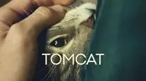 Tập Full Tomcat
