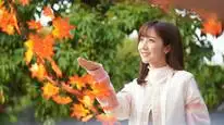 Tập 2 Mối Tình Không Lời