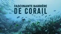 Tập 02 Khám Phá Rạn San Hô Great Barrier cùng David Attenborough