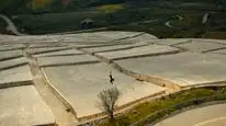 Tập 3 Citadel: Diana