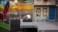 Tập 7 Con Người Đấu Với Hamster