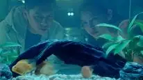 Tập Full Ký hiệu yêu thương