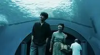Tập 04 Mukai ơi, nhìn em này