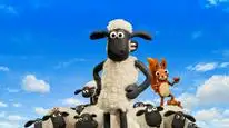 Tập 8 Chú cừu Shaun (Phần 5)