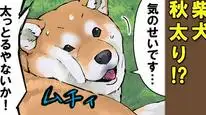 Tập 53 Ngày Tận Thế Với Chú Chó Shiba Của Tôi