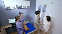 Tập 17 Chó Cưng Của Tôi