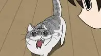 Tập 2 Nights with a Cat