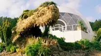 Tập 7 Đại chiến hoa tươi