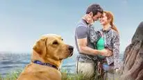 Tập Full Hướng Dẫn Emily