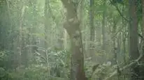Tập 01 (1) Mưa Không Rơi Trên Vùng Đất Vô Thần