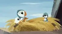 Tập 2 Núi hải âu (Phần 1)