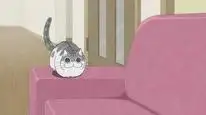 Tập 28 Nights with a Cat
