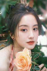 Wang Junbi