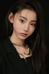 Lưu Giai Tỉ