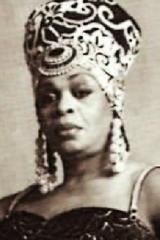 Avis Pendavis