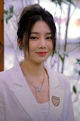 Mỹ Linh