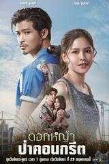 Hoa Dại Giữa Thành Phố
