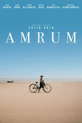 Đảo Amrum