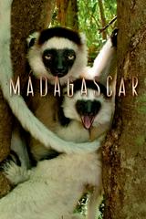 Cuộc Phiêu Lưu Đến Madagascar