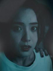 Sương Mù: Cô Ấy Biến Mất