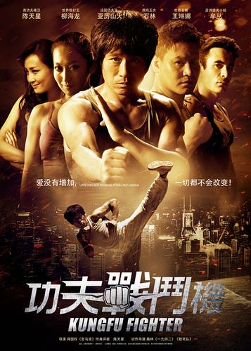The Super Kung-Fu Fighter