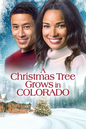 Cây Giáng Sinh Nở Hoa Ở Colorado