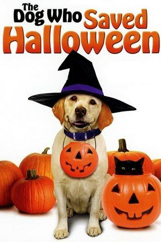 Chú Chó Cứu Halloween