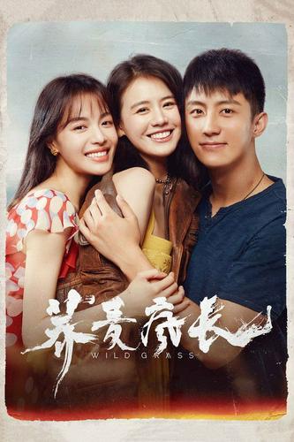 Lúa Mạch Điên Cuồng Nở Rộ