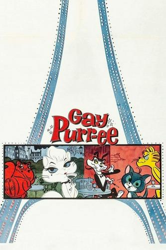 Mèo Paris Duyên Dáng
