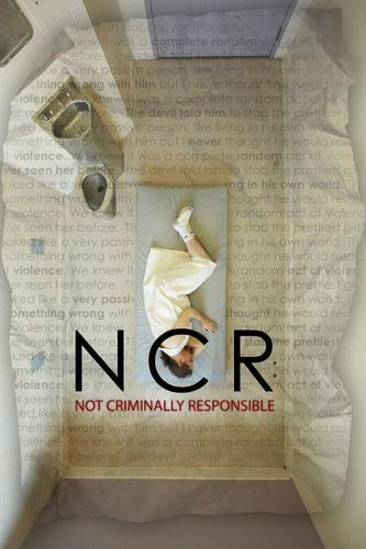 NCR: Không Chịu Trách Nhiệm Hình Sự